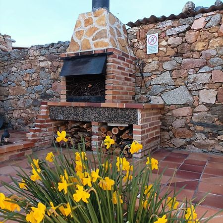 La Casa Del Buho Villa Santa Maria la Real de Nieva Eksteriør bilde